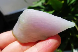 Natural Jade Rough Jadeite Raw (42g,6X2.9X1.4cm)