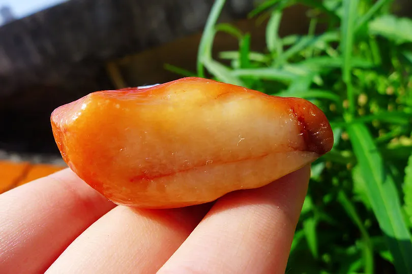 Natural Jade Rough Jadeite Raw (59g,5.1X3.9X2.1cm)